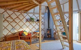 Puckaster Cove Luxury Yurt
